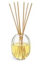 Diptyque Fleur d'Oranger Fragrance Reed Diffuser in Regular at Nordstrom, Size 6.76 Oz