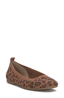 Lucky Brand Daneric Ballet Flat at Nordstrom,