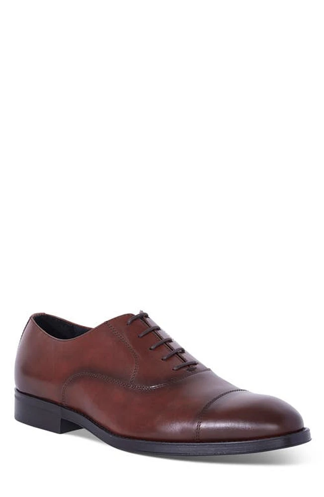 Paul Stuart Cameron Cap Toe Oxford Brandy at Nordstrom,