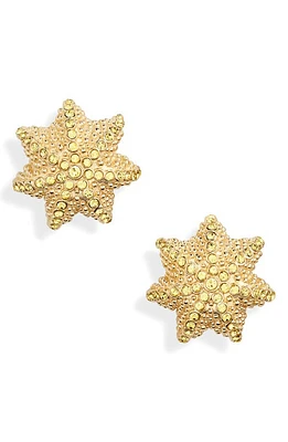 Oscar de la Renta Cactus Ball Stud Earrings in Citrine at Nordstrom