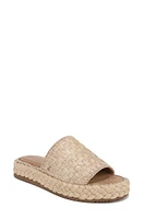 Circus NY by Sam Edelman Wallis Slide Sandal at Nordstrom,