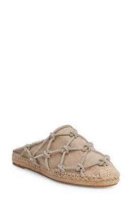 Valentino Garavani Resort Mule Crystal/Natural at Nordstrom,