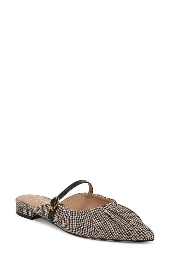 Circus NY by Sam Edelman Larissah Pointed Toe Mule Black Natural Multi at Nordstrom,