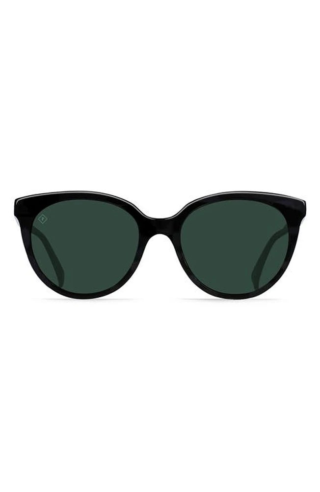 RAEN Lily 54mm Cat Eye Sunglasses in Crystal Black /Green Polar at Nordstrom