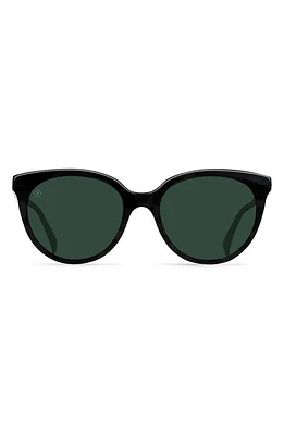 RAEN Lily 54mm Cat Eye Sunglasses in Crystal Black /Green Polar at Nordstrom