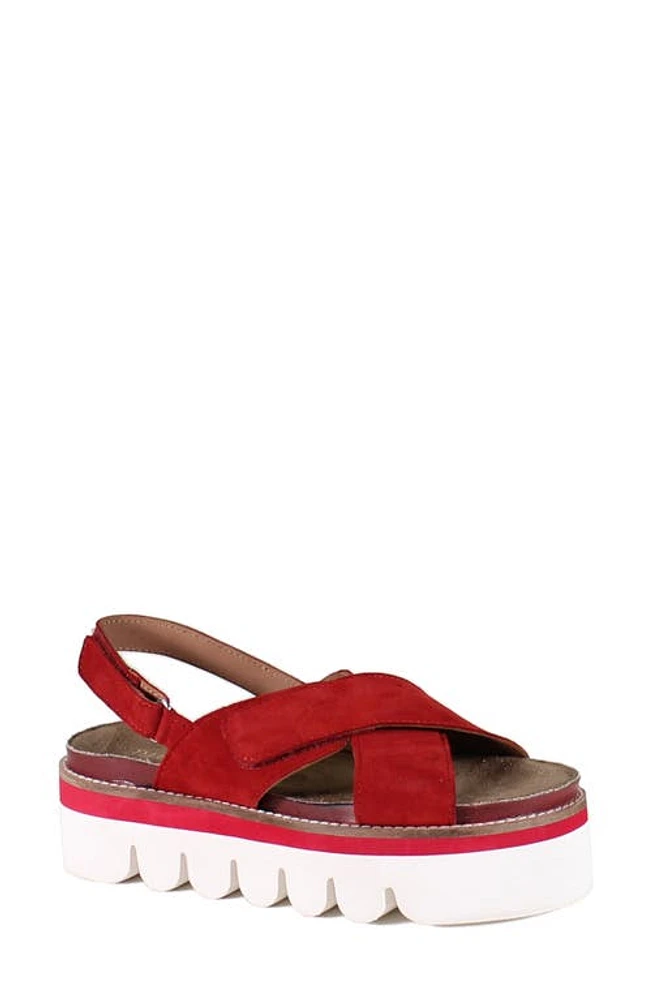 Diba True Razzle Dazz Slingback Platform Sandal Red at Nordstrom,