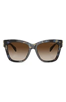 Michael Kors Empire 55mm Gradient Cat Eye Sunglasses in Brown Grad at Nordstrom