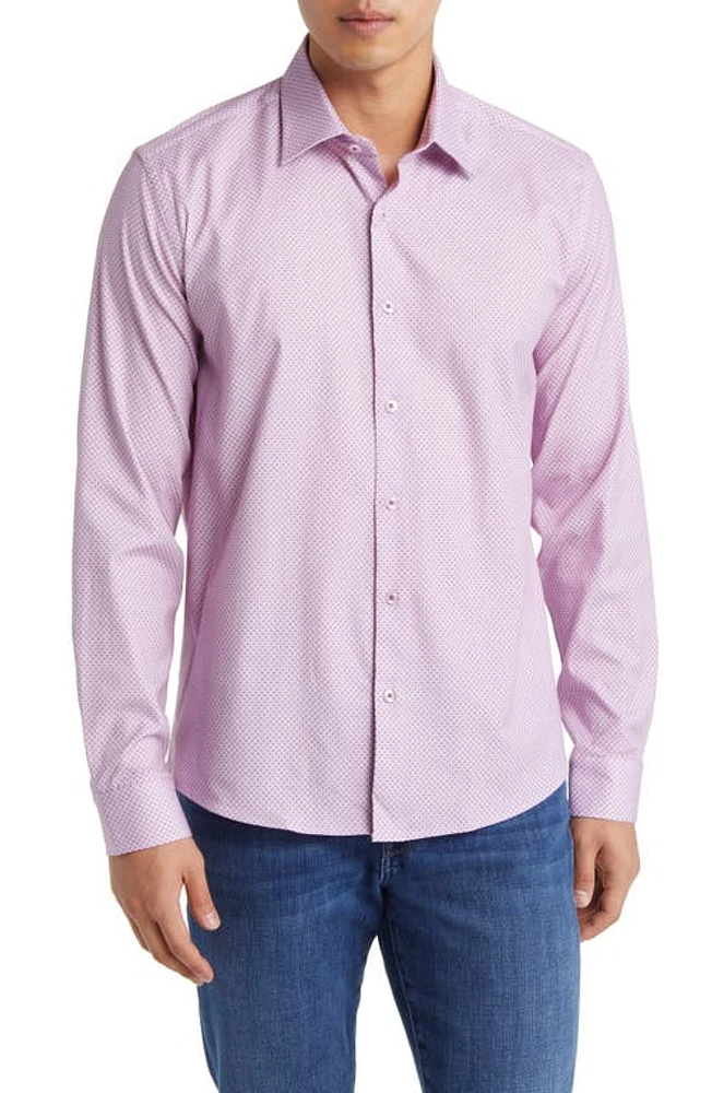 Stone Rose Microdot Button-Up Shirt Lavender at Nordstrom,