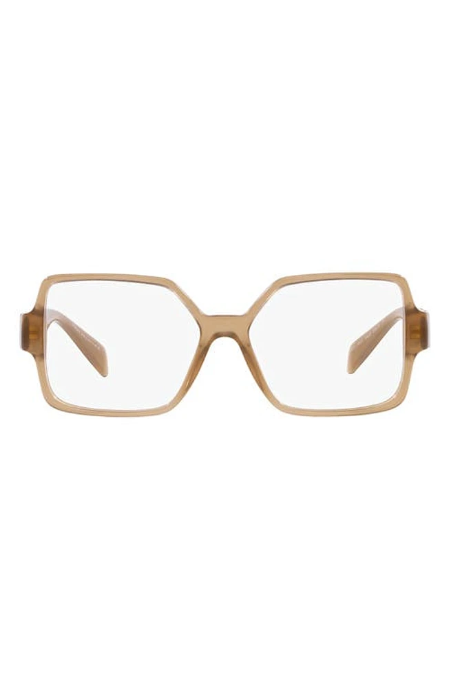 Versace 53mm Square Optical Glasses in Opal Beige at Nordstrom