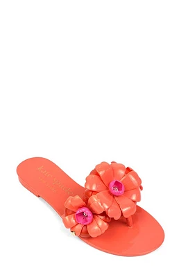 Kate Spade New York jaylee flip flop at Nordstrom,