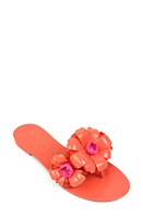 Kate Spade New York jaylee flip flop at Nordstrom,