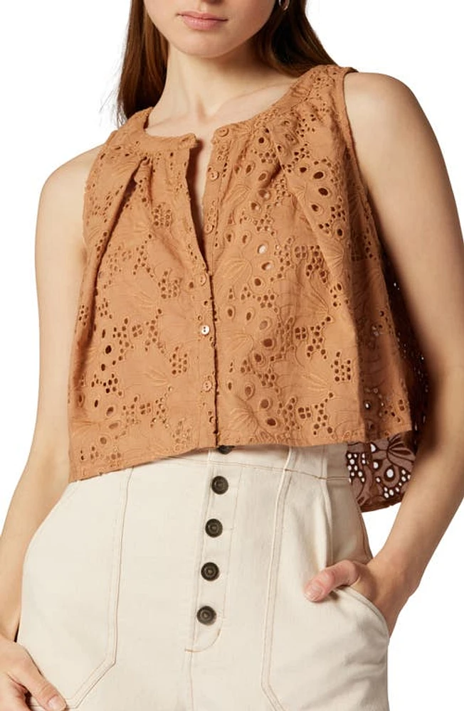 Joie Gemma Embroidered Crop Swing Tank Top at Nordstrom,