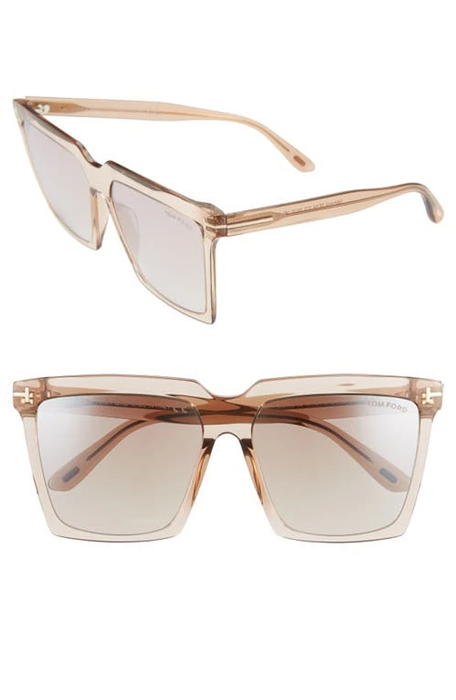 TOM FORD Sabrina 58mm Square Sunglasses in Shiny Beige/Brown at Nordstrom