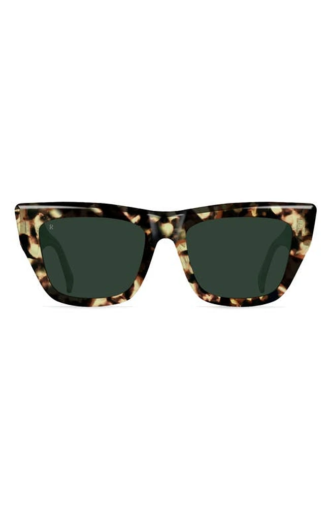 RAEN Marza 53mm Square Sunglasses in Toyko Champagne /Green at Nordstrom