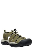 KEEN Newport Hybrid Sandal in Martini Olive/Brindle at Nordstrom, Size 13