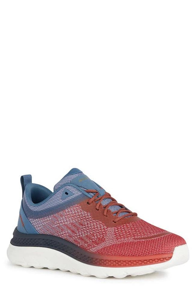 Geox Spherica Actif X Sneaker at Nordstrom,