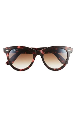 Ray-Ban Way Wayfarer 51mm Oval Sunglasses in Havana Pink at Nordstrom