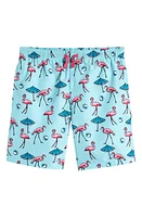 Nordstrom Kids' Volley Swim Trunks at