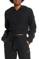 Alo Muse Rib Crop Hoodie at Nordstrom,