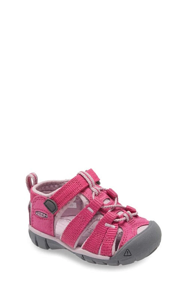 KEEN Seacamp II CNX Water Friendly Sandal Very Berry/Dawn Pink at Nordstrom, M