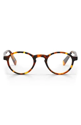 eyebobs Board Stiff 44mm Round Reading Glasses in Tokyo Tortoise/Clear at Nordstrom, Size 2.25