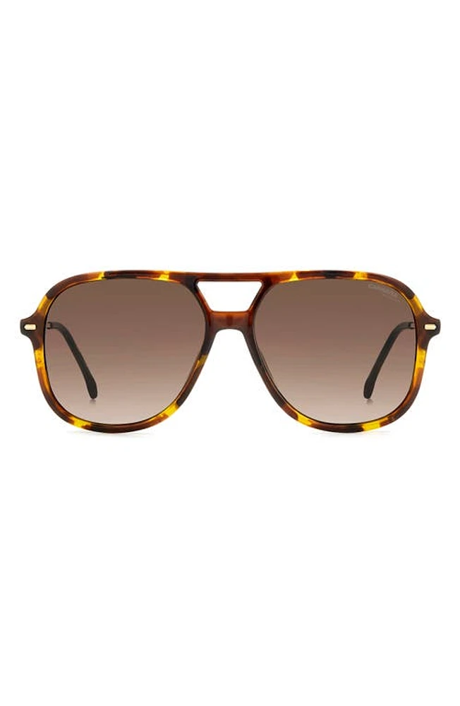 Carrera Eyewear 58mm Navigator Sunglasses in Havana 2/Brown Gradient at Nordstrom