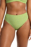 Sea Level Checkmate Retro High Waist Bikini Bottoms Olive at Nordstrom,