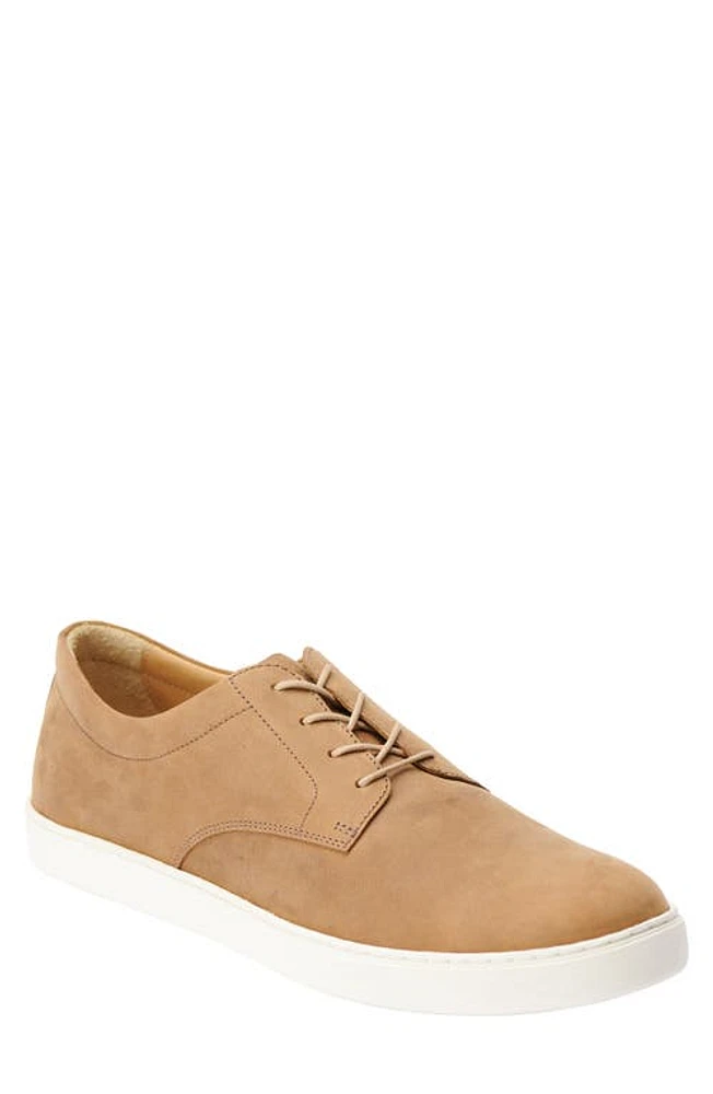 Nisolo Diego Everyday Sneaker Tobacco at Nordstrom,