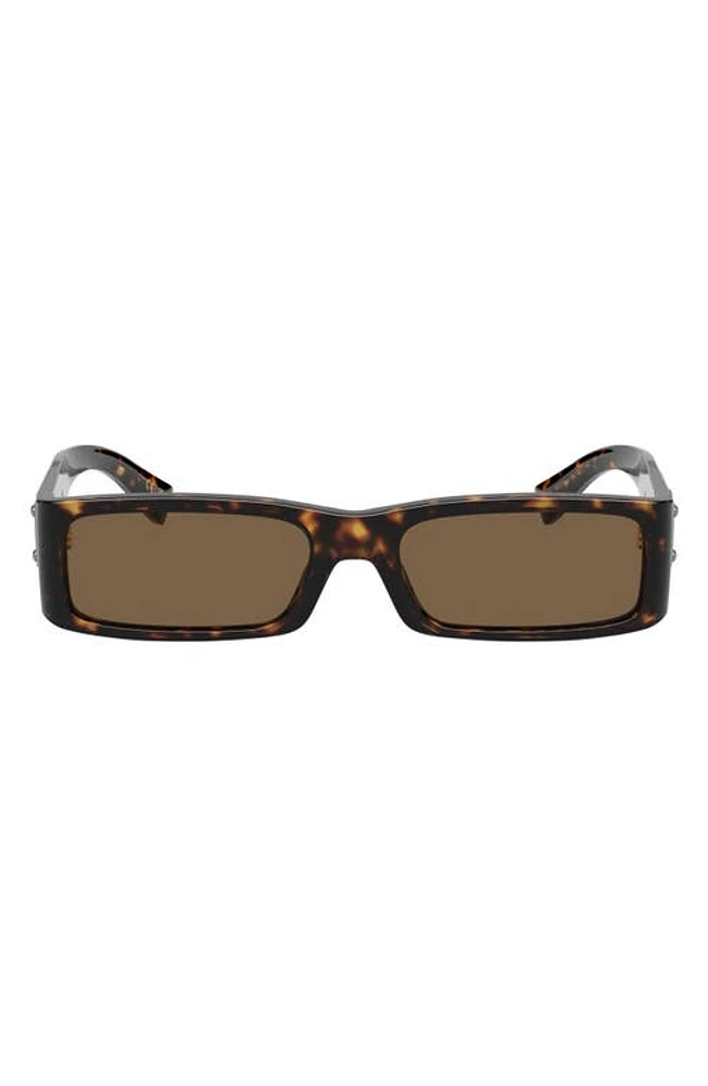 Dolce & Gabbana 55mm Polarized Rectangular Sunglasses in Havana at Nordstrom