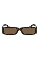 Dolce & Gabbana 55mm Polarized Rectangular Sunglasses in Havana at Nordstrom