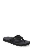 Sanuk Ziggy Water Friendly Flip Flop at Nordstrom,