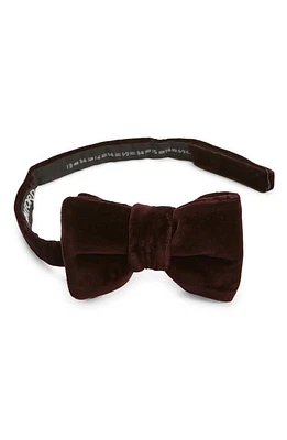 TOM FORD Pre-Tied Compact Velveteen Bow Tie in Mulberry at Nordstrom