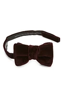 TOM FORD Pre-Tied Compact Velveteen Bow Tie in Mulberry at Nordstrom