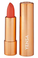 YENSA Super 8 Vibrant Silk Lipstick in Fire at Nordstrom