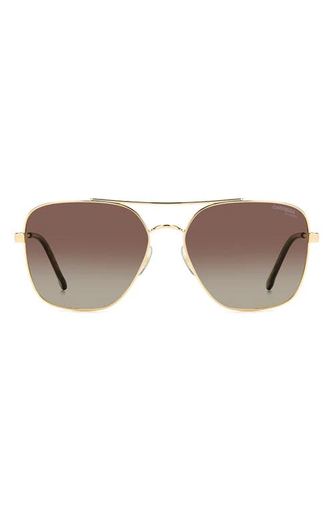 Carrera Eyewear 60mm Gradient Square Sunglasses in Gold Havana/Brown Polar at Nordstrom