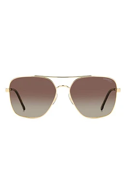 Carrera Eyewear 60mm Gradient Square Sunglasses in Gold Havana/Brown Polar at Nordstrom