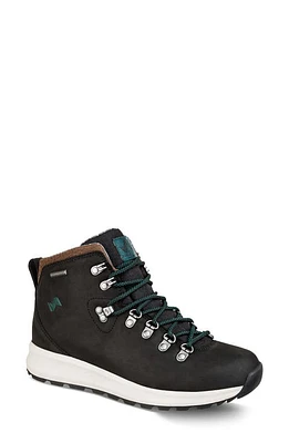 Forsake Thatcher Mid Waterproof Hiking Boot in Black at Nordstrom, Size 6