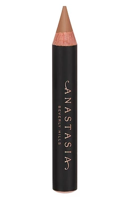 Anastasia Beverly Hills Pro Pencil in Base at Nordstrom