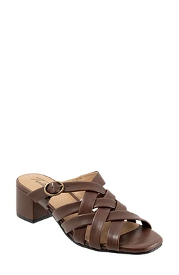 Trotters Lauri Woven Slide Sandal Dk Brown at Nordstrom,