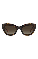 Carolina Herrera 51mm Gradient Cat Eye Sunglasses in Havana Red /Brown at Nordstrom