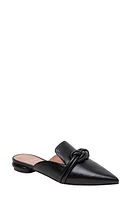 Linea Paolo Azelia Pointed Toe Mule at Nordstrom,