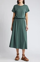 Nation LTD Garcelle Organic Cotton T-Shirt Midi Dress at Nordstrom,