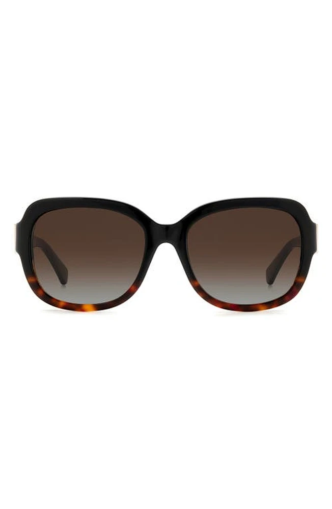 Kate Spade New York laynes 55mm gradient sunglasses in Black Havana/Brown Polar at Nordstrom