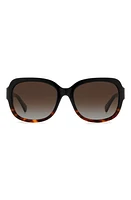 Kate Spade New York laynes 55mm gradient sunglasses in Black Havana/Brown Polar at Nordstrom