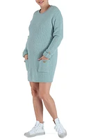 Cache Coeur Honey Long Sleeve Maternity/Nursing Sweater Dress at Nordstrom,