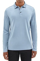 Robert Barakett Georgia Long Sleeve Polo at Nordstrom,