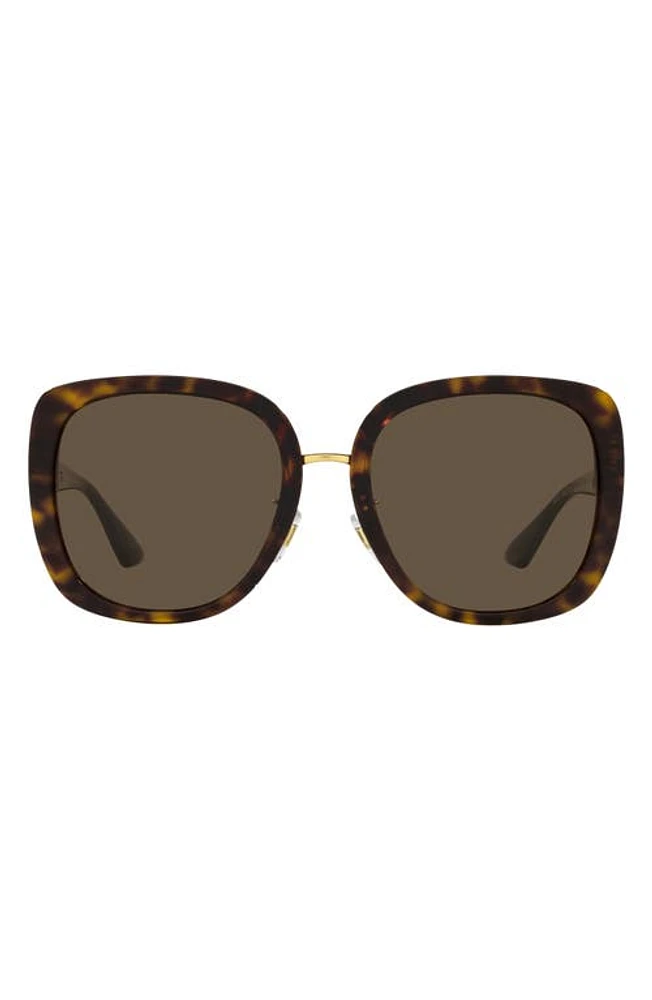 Versace 56mm Pillow Sunglasses in Havana at Nordstrom