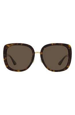 Versace 56mm Pillow Sunglasses in Havana at Nordstrom