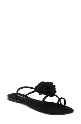 Jeffrey Campbell Tropico Sandal Suede at Nordstrom,