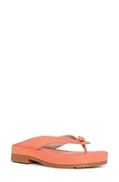 Donald Pliner Platform Flip Flop at Nordstrom,